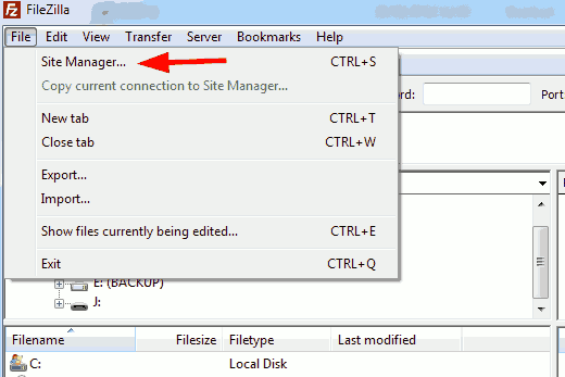 Filezilla site manager.